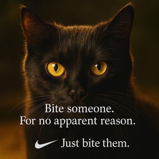 1756420167650.jpeg