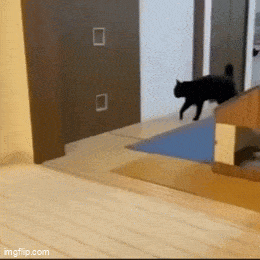 1756429456416.gif