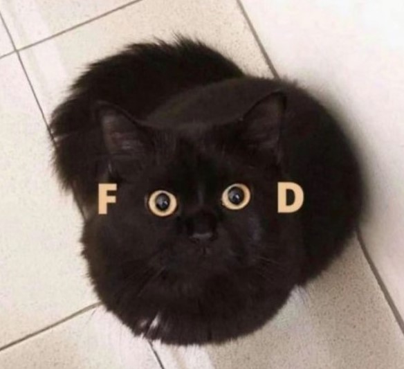 1756429616922.jpeg