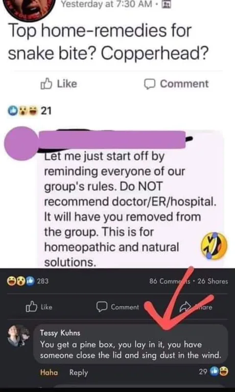 1756466959048.png