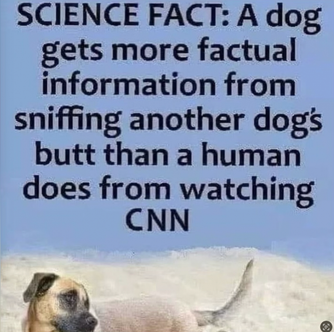 1757159706918.png