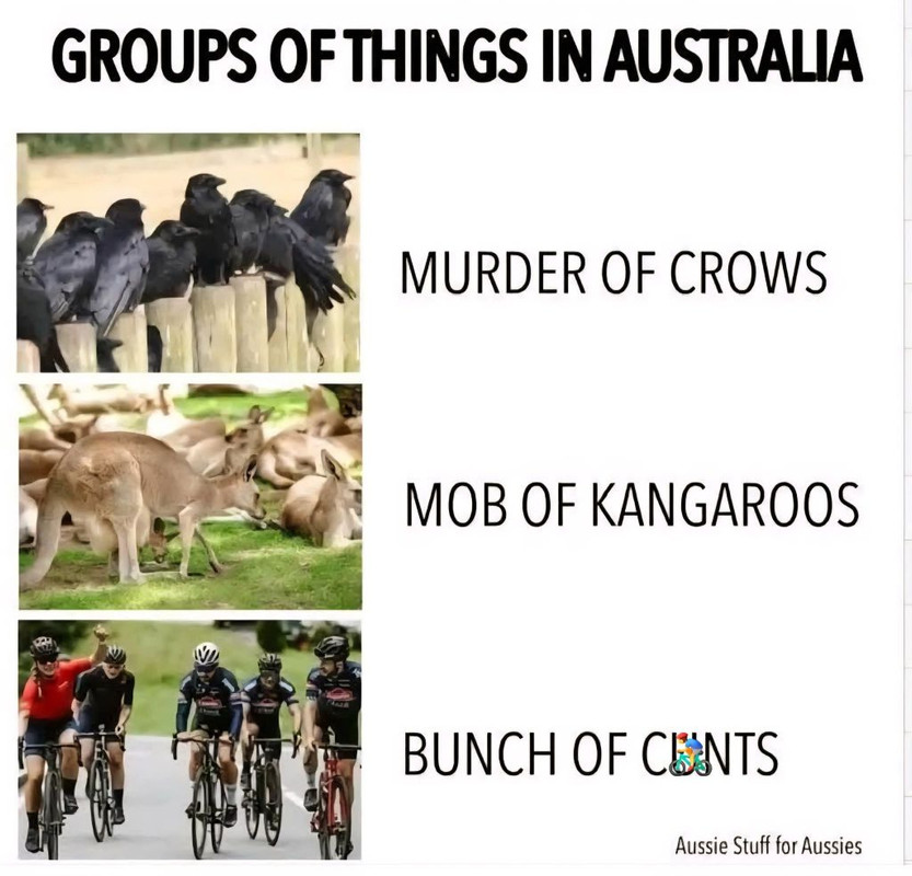 1757236528516.png