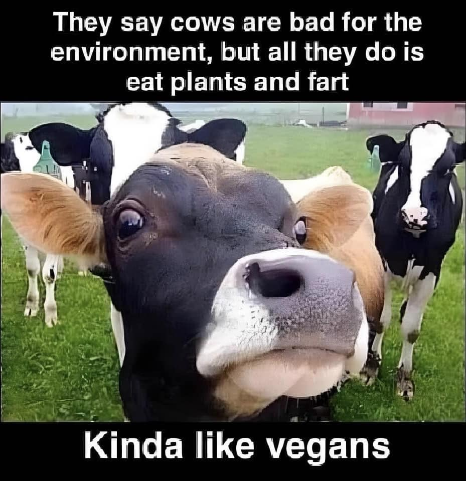 1757319833275.png