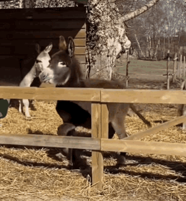 1757367426476.gif