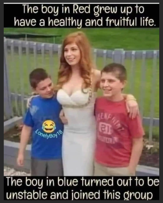 1757413939518.png