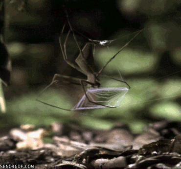 1758043139367.gif