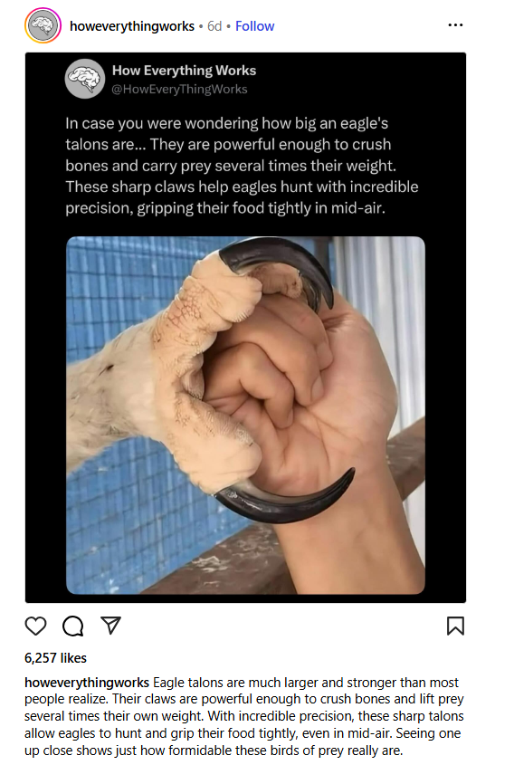 1758046719174.png