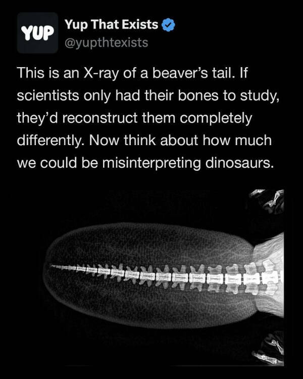1758100358760.png