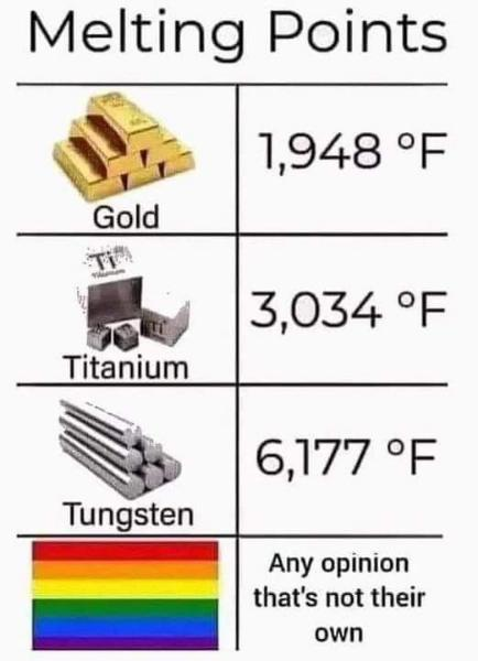 1758113462295.png