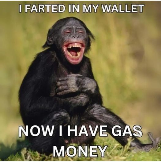 1758370847774.png