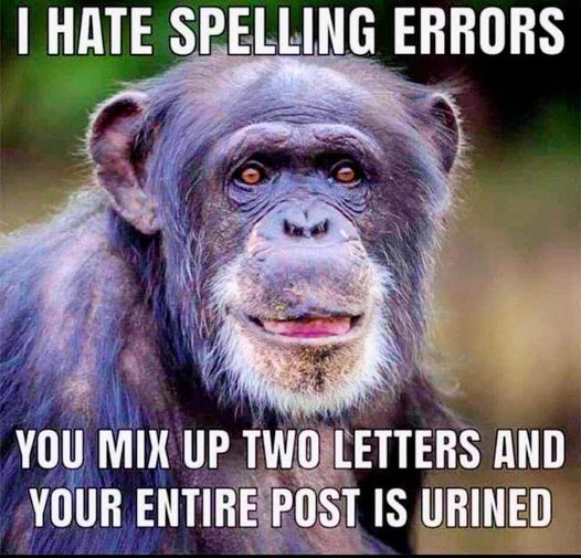 1758371139863.png