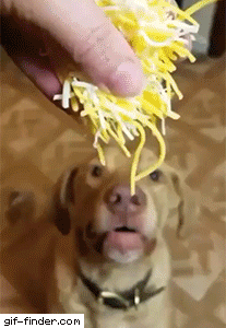 1758392252371.gif