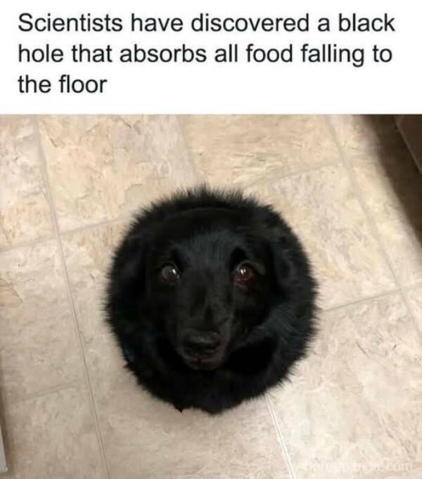 1758498074198.png