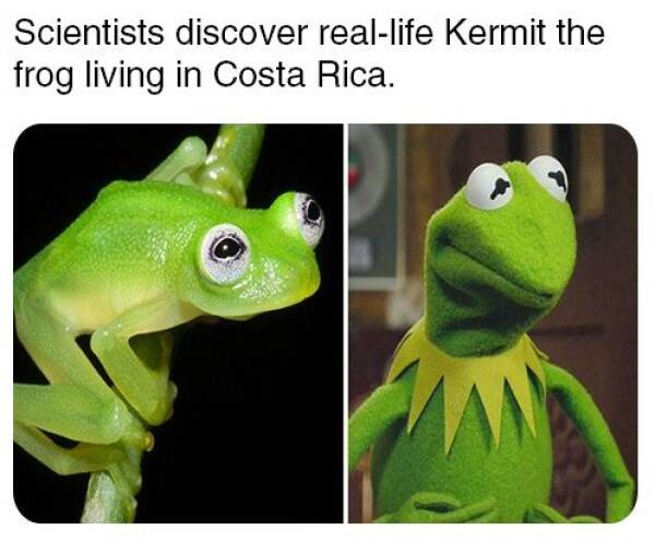 1758623892511.png