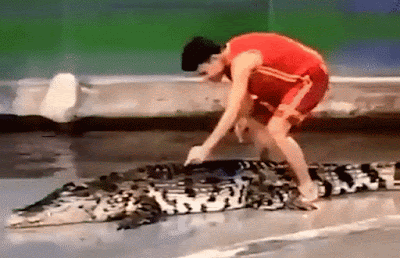 1758927545260.gif