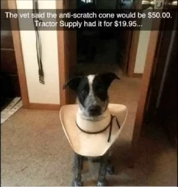 1758962477859.png