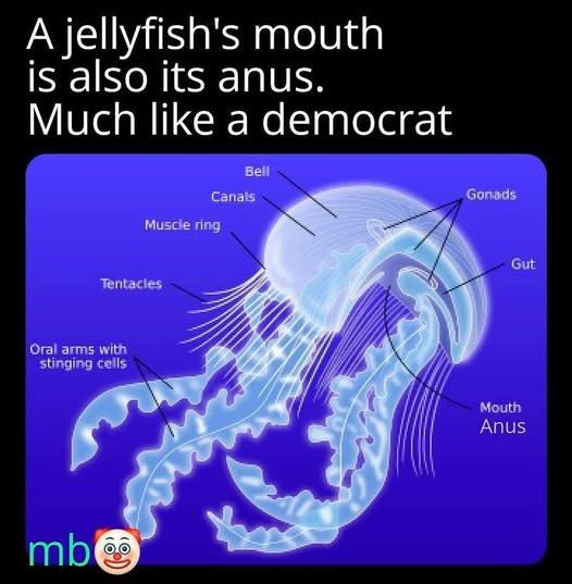 1759261618063.jpeg