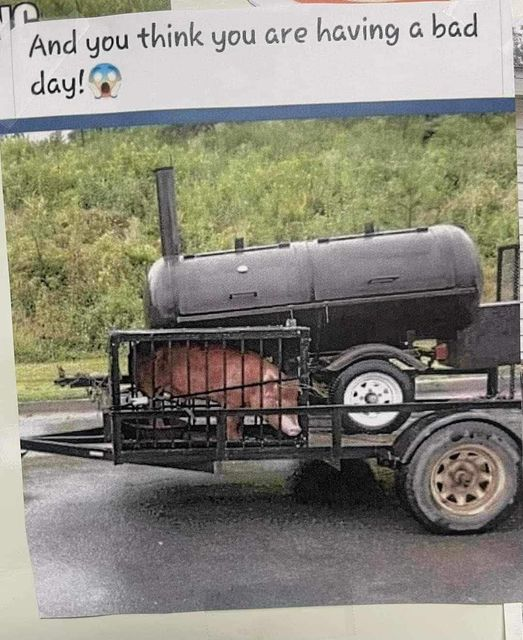 1759308479510.png
