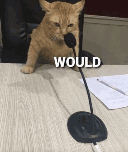 1759344821067.gif