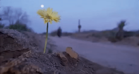 1759372374795.gif