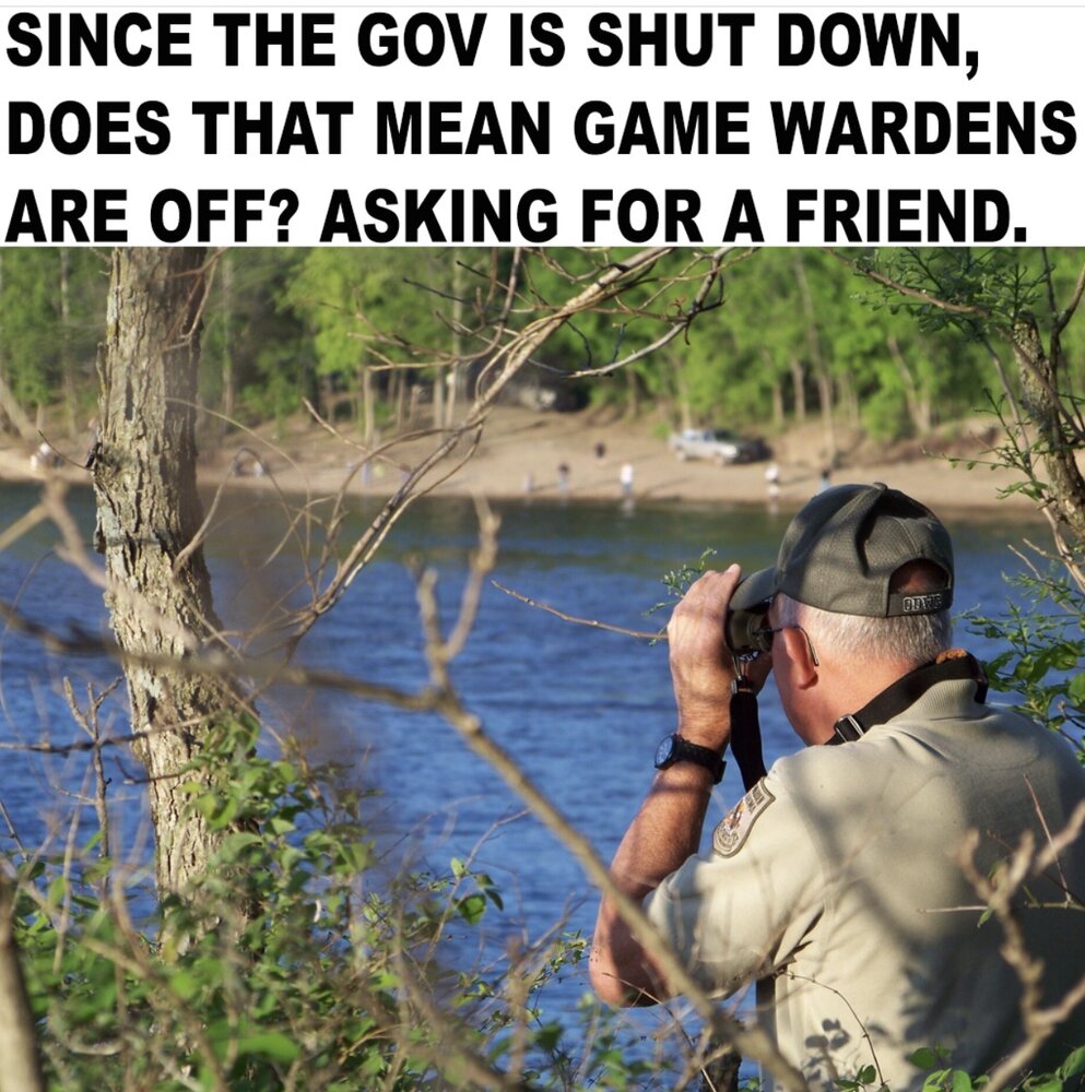 1759490718666.jpeg