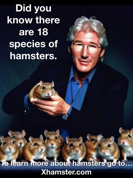 1759874159006.png