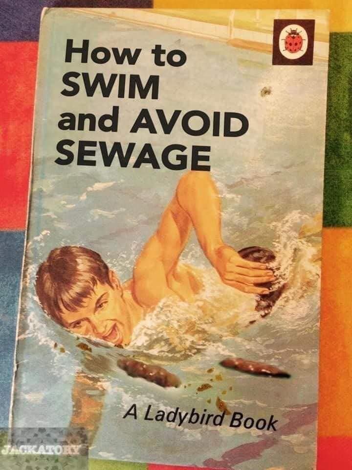 1759955236628.jpeg