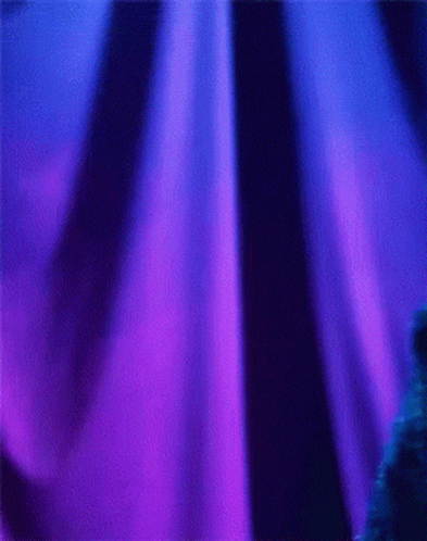 1760026432461.gif