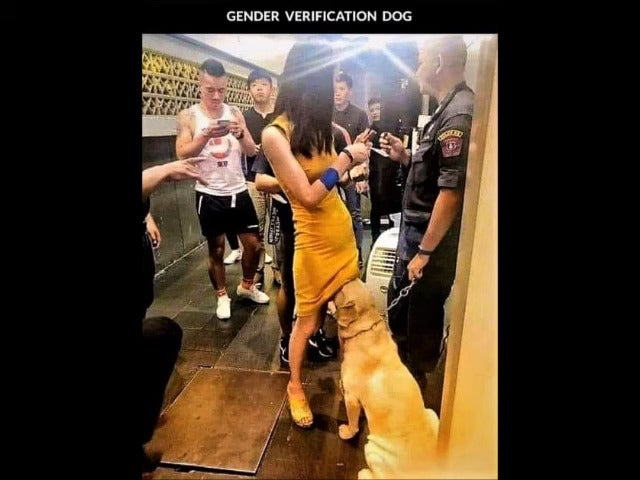1760151424734.png