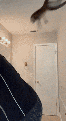 1760177492735.gif