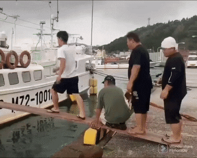1760177532471.gif