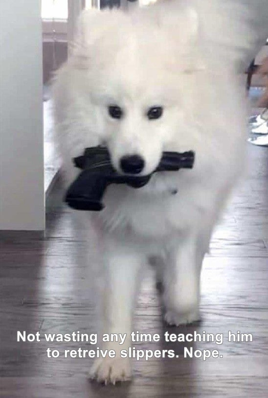 1760230798111.png