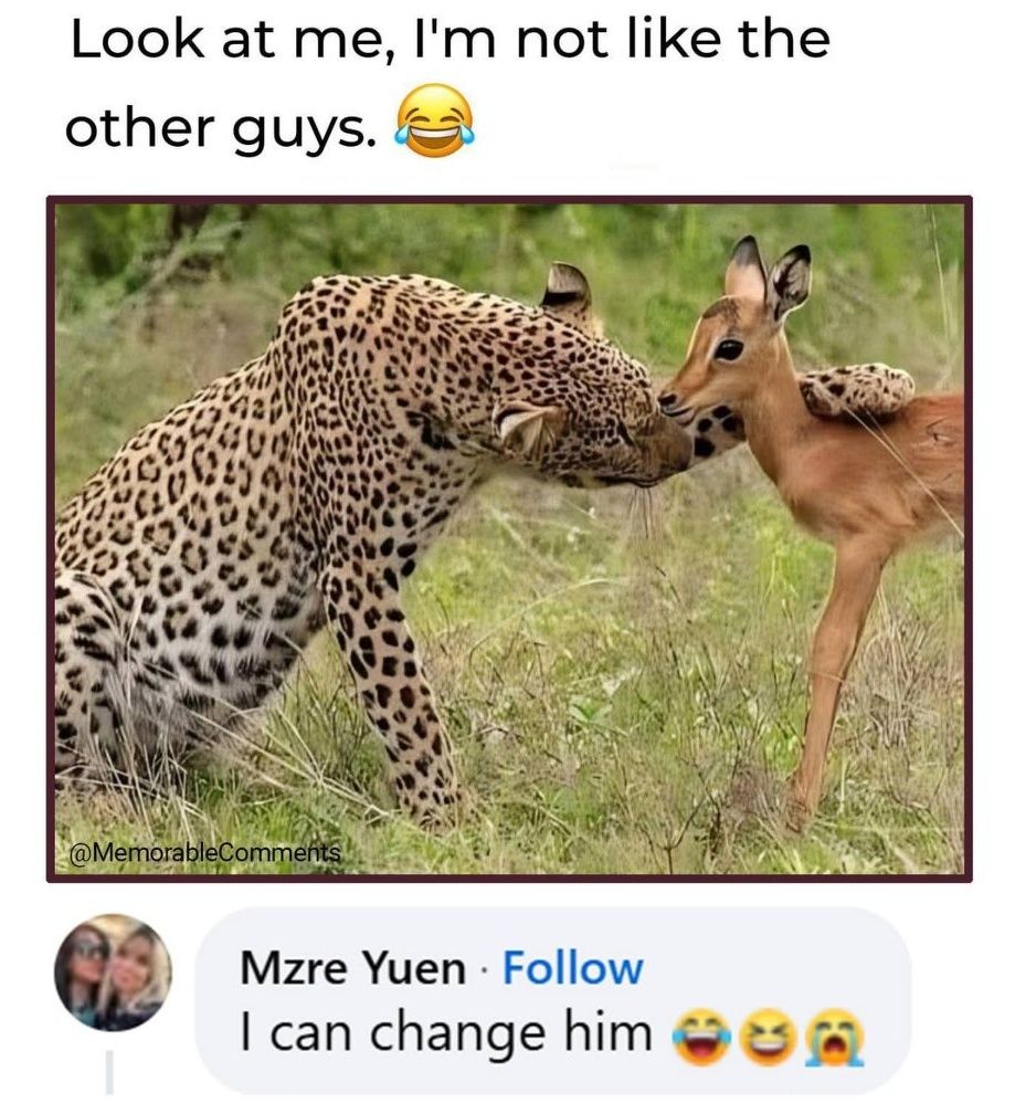 1760270226042.jpeg