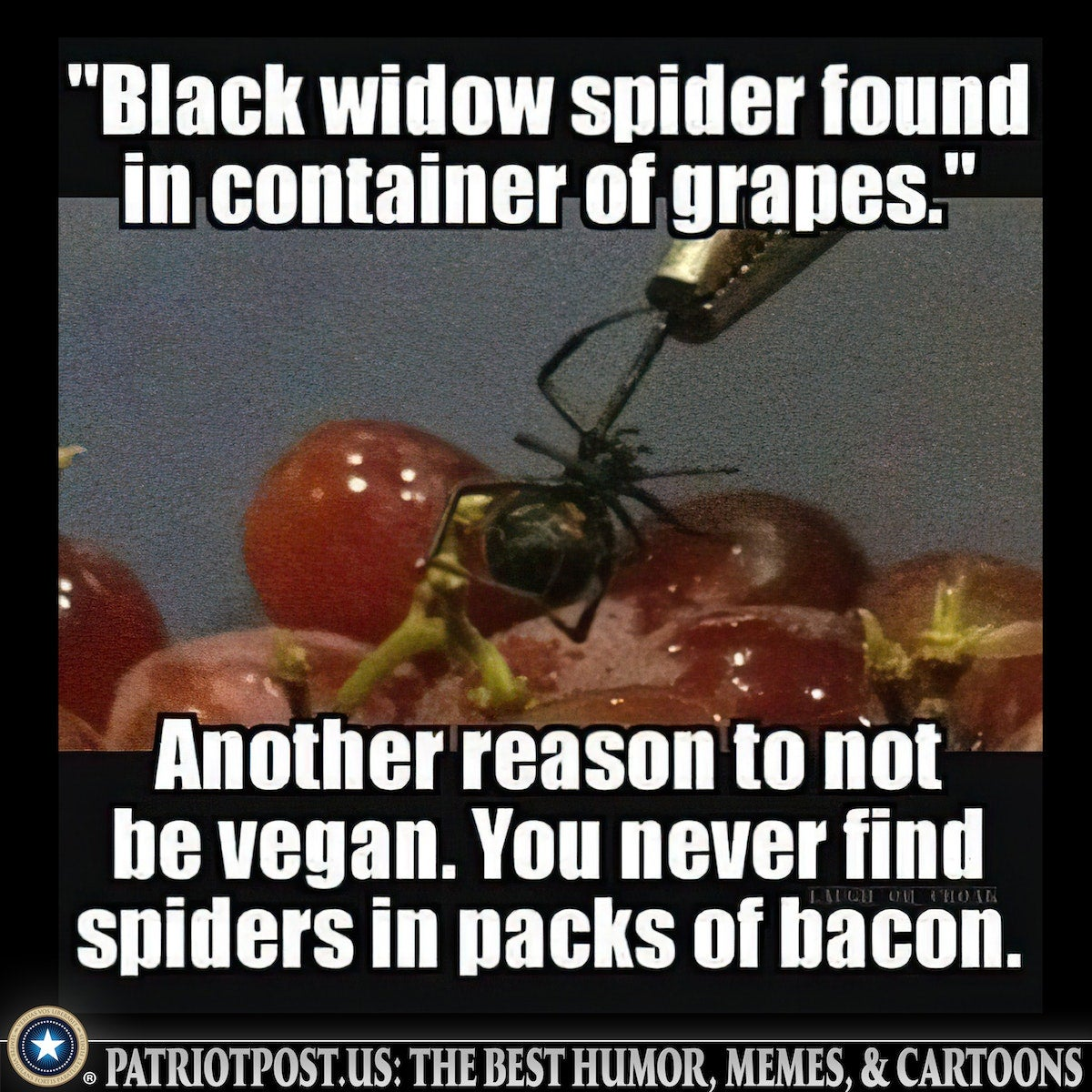 1760689157757.png