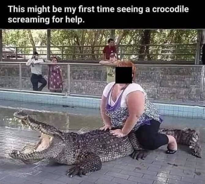 1761030339068.png