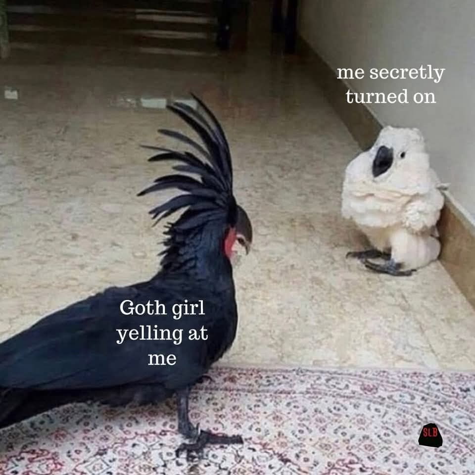 1761172397486.jpeg