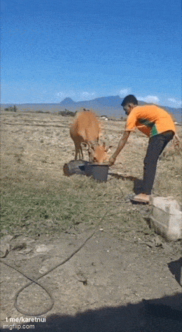 1761603381820.gif