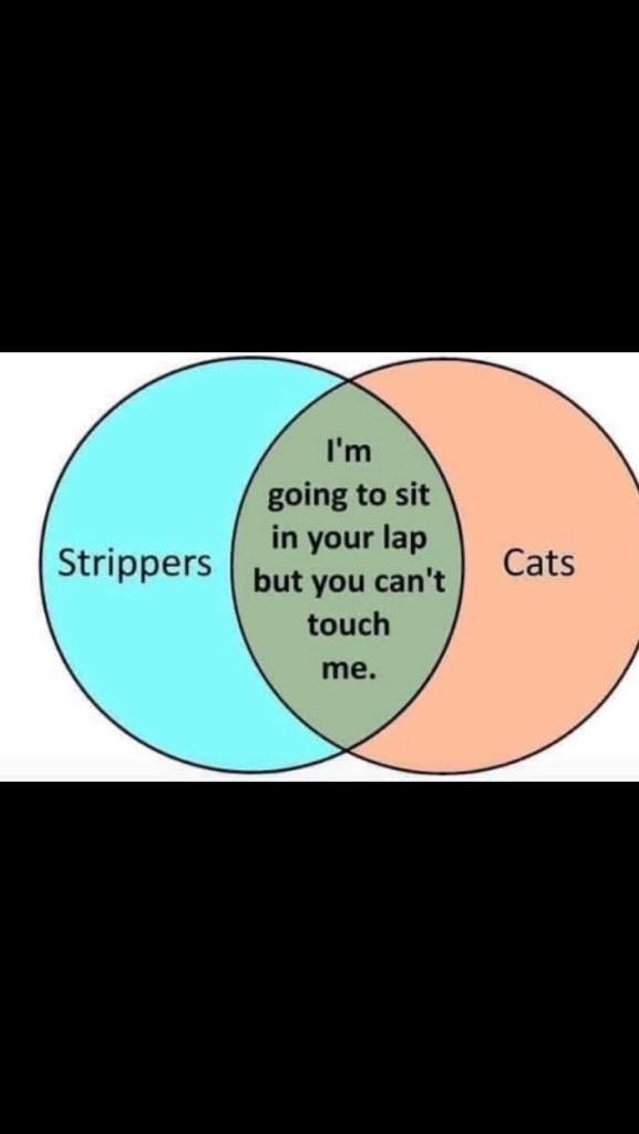 7063796