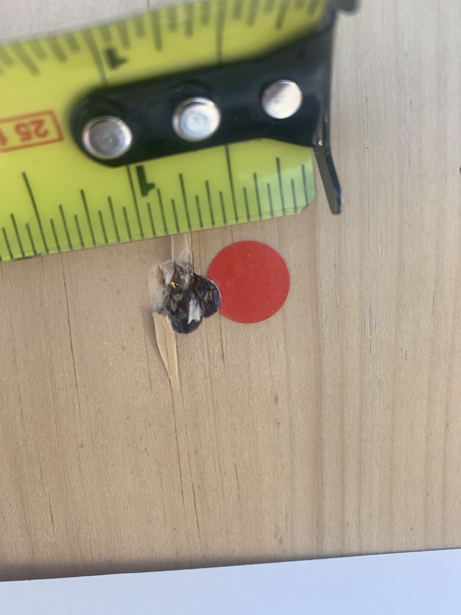 17AB95E4-E92C-49A5-AC4F-EB0261BD0D38.jpeg