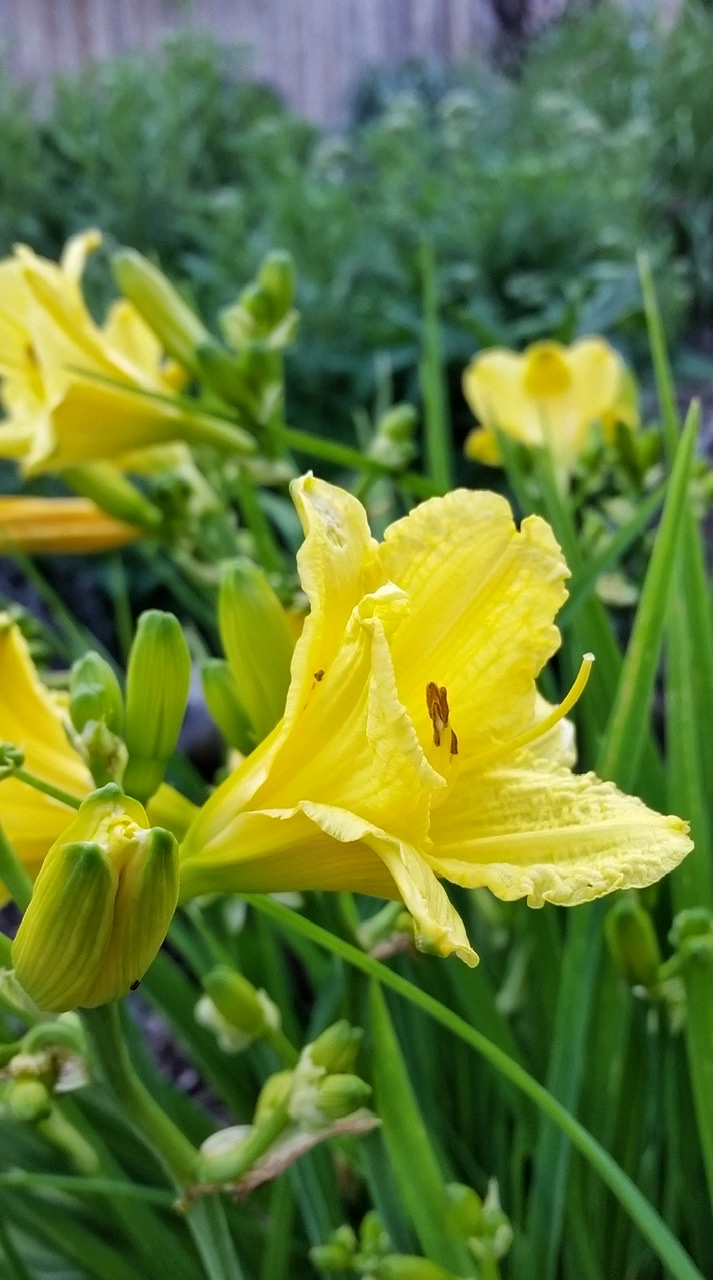 17AFAA12-D3E4-4387-BF21-07AE19A9FCF9.jpeg