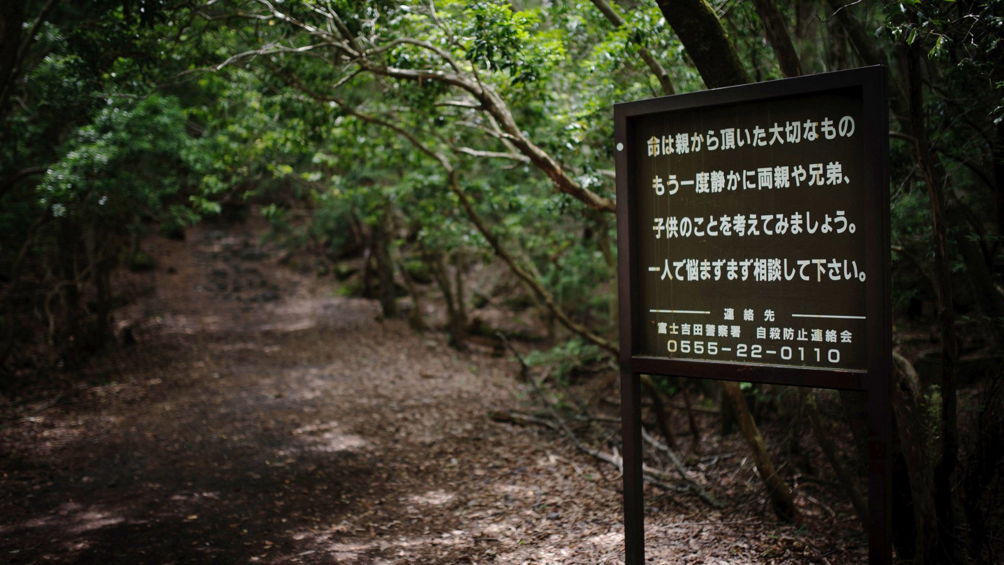 180102133840-01-suicide-forest-restricted.jpg