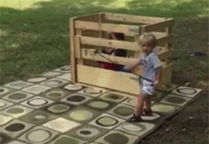 180973D7-6CE6-4346-90F0-9421180DE7F1.gif
