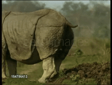 18554C0A-26D2-4721-B337-D47759195658.gif
