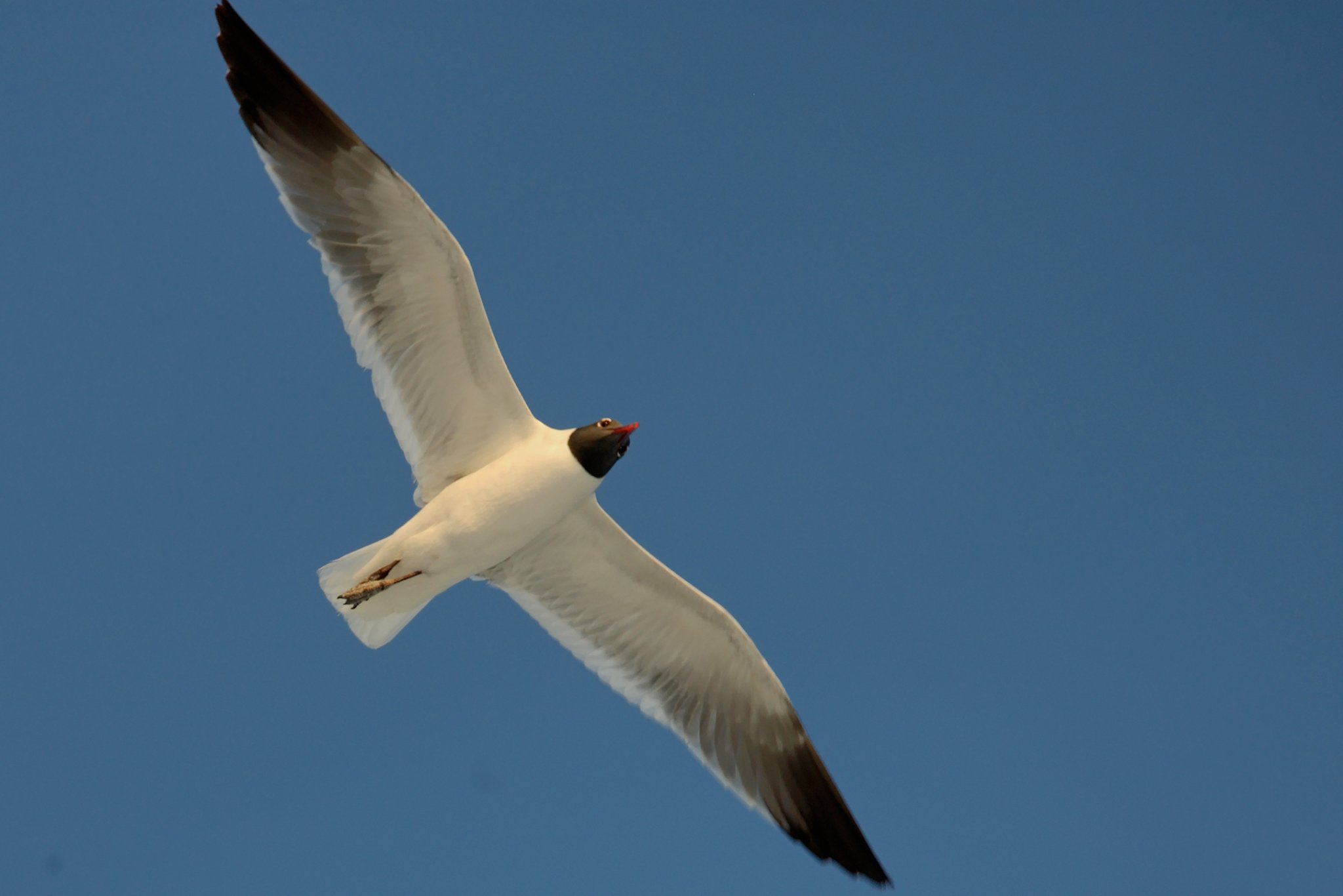 186FA15D-5C60-403B-888D-CCB0637334CF.jpeg