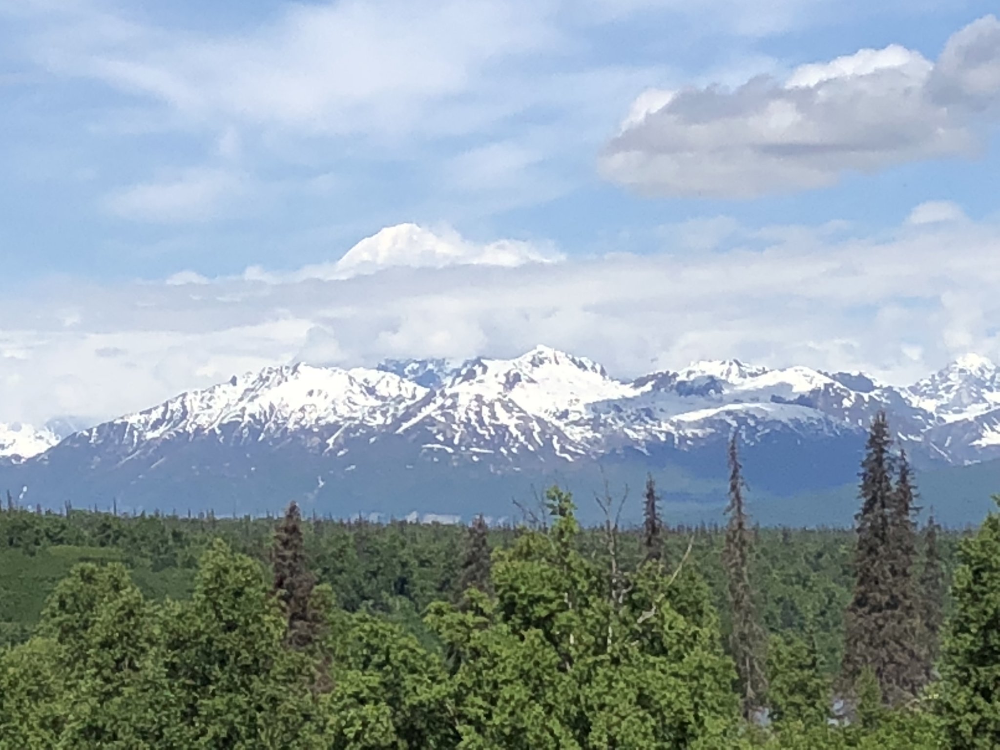191C0988-37A7-4F55-82DA-66E9AFE3AD59.jpeg