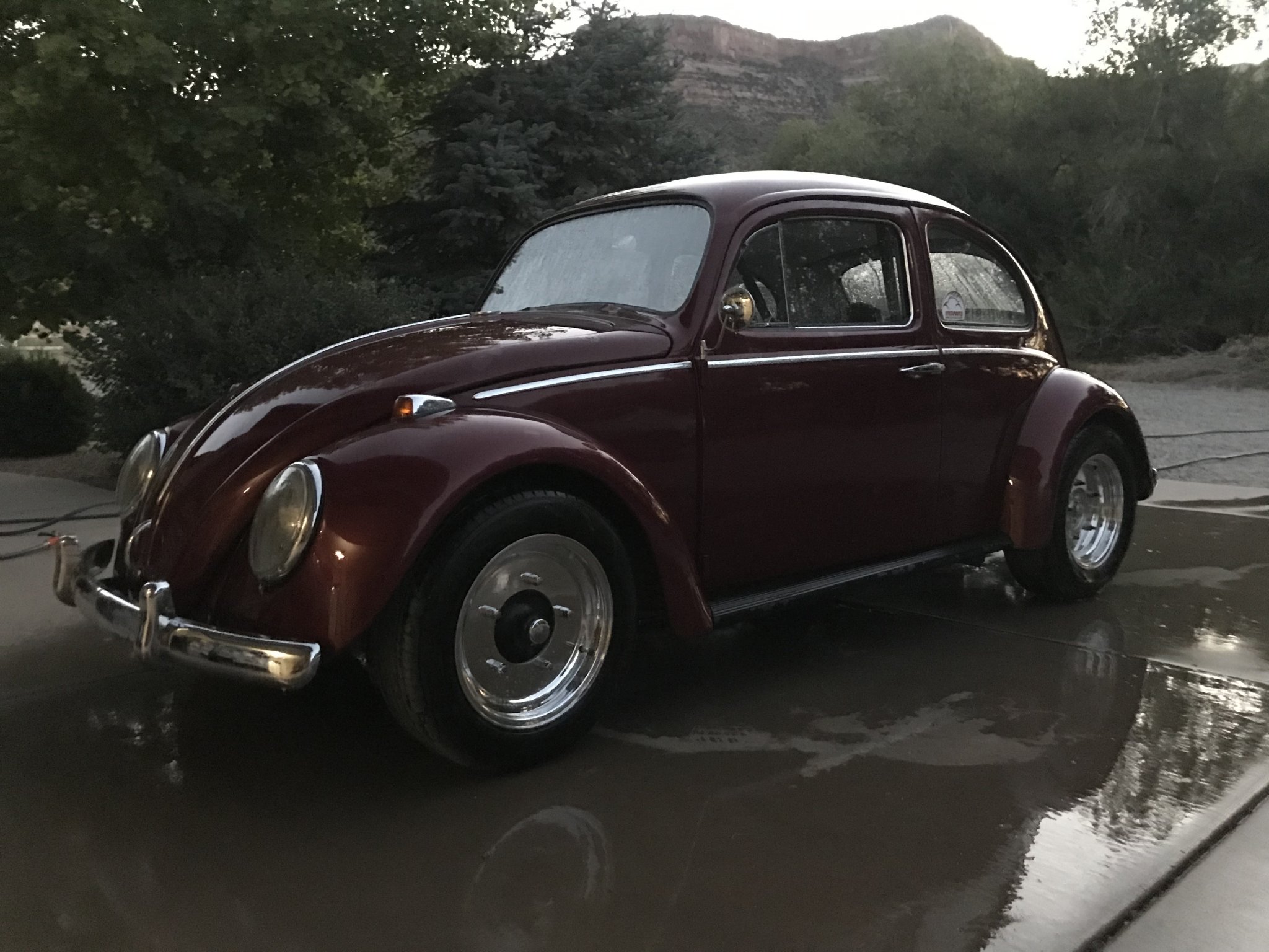 1965 VW.jpg
