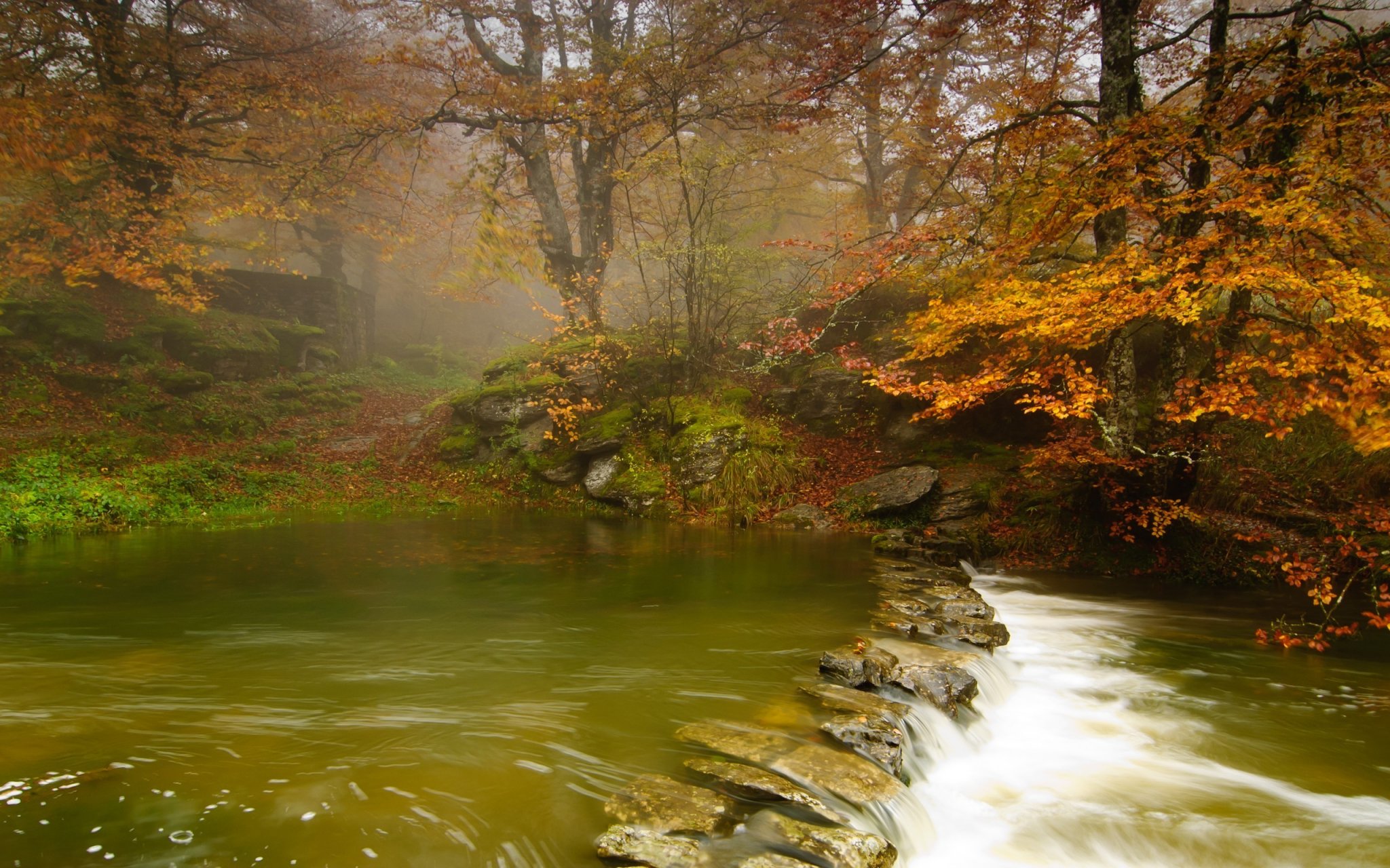 198547-nature-landscape-river-forest-trees-stones.jpg