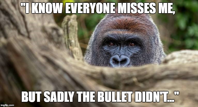 19iw7q.jpg