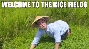 1a5.gif