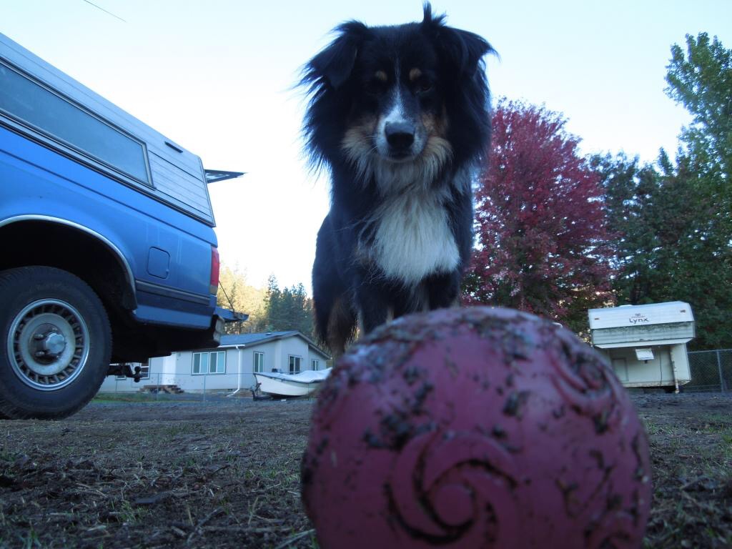 1B035323-9440-4C24-9D17-FABD4E571CD7.jpeg